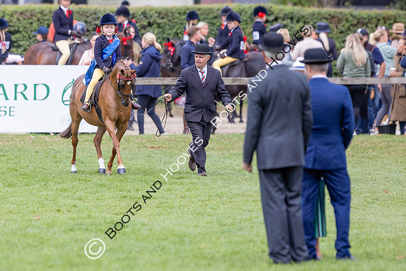 The Agria Royal International Horse Show