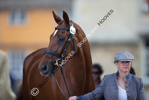 Badminton Horse Trials