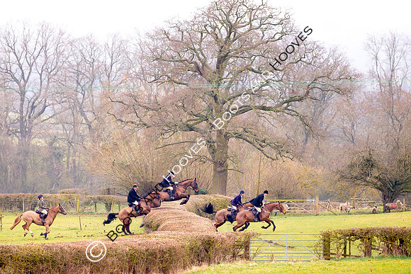 The Ledbury Hunt