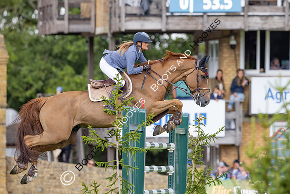 The Agria Royal International Horse Show