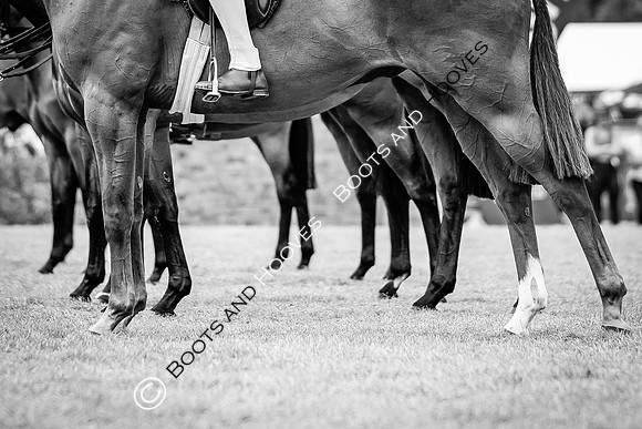The Agria Royal International Horse Show