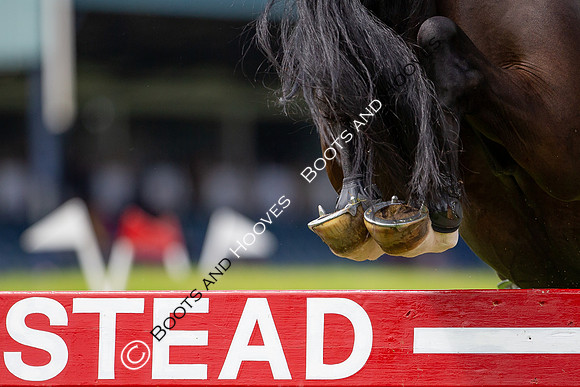 Showjumping