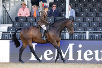 Royal Windsor Horse Show