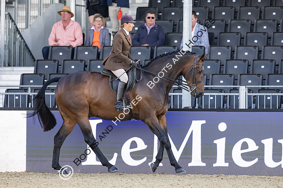 Royal Windsor Horse Show