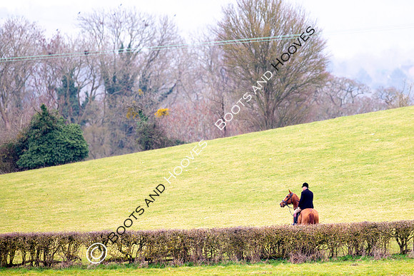 The Ledbury Hunt