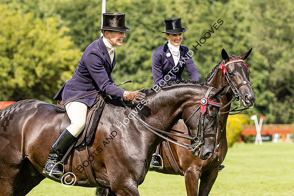 The Agria Royal International Horse Show