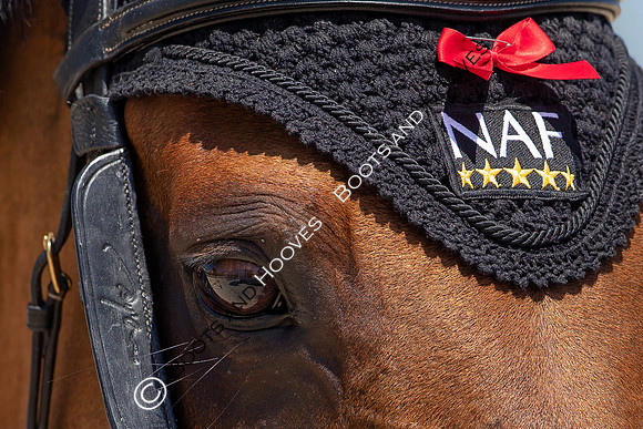 FEI Junior European Championship Young Riders, Juniors & Childre