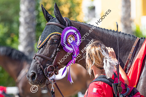 FEI Junior European Championship Young Riders, Juniors & Childre