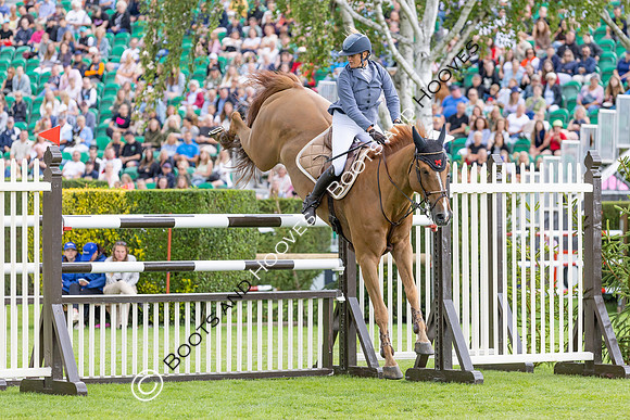 The Agria Royal International Horse Show