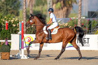FEI Junior European Championship Young Riders, Juniors & Childre