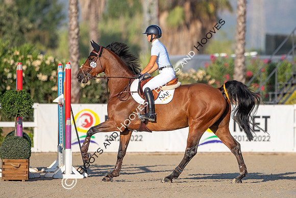 FEI Junior European Championship Young Riders, Juniors & Childre