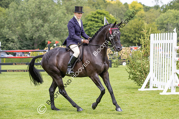 The Agria Royal International Horse Show