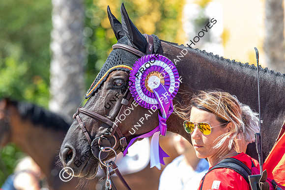 FEI Junior European Championship Young Riders, Juniors & Childre