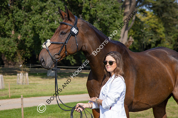Blenheim Palace International Horse Trials
