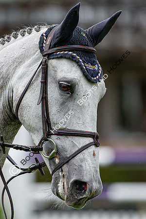 Showjumping