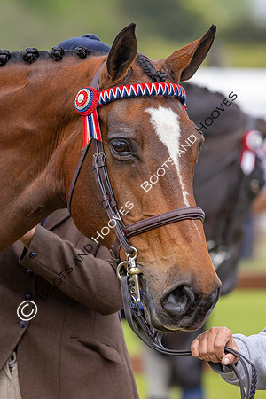 Royal Windsor Horse Show