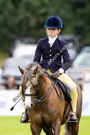 The Agria Royal International Horse Show
