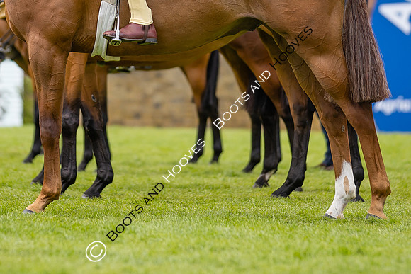 The Agria Royal International Horse Show