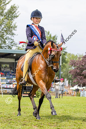 The Agria Royal International Horse Show