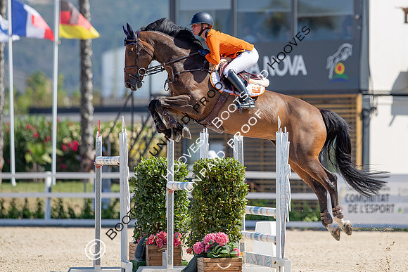 FEI Junior European Championship Young Riders, Juniors & Childre