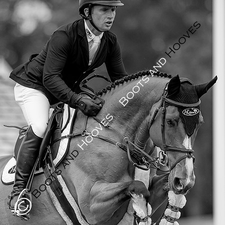 Showjumping