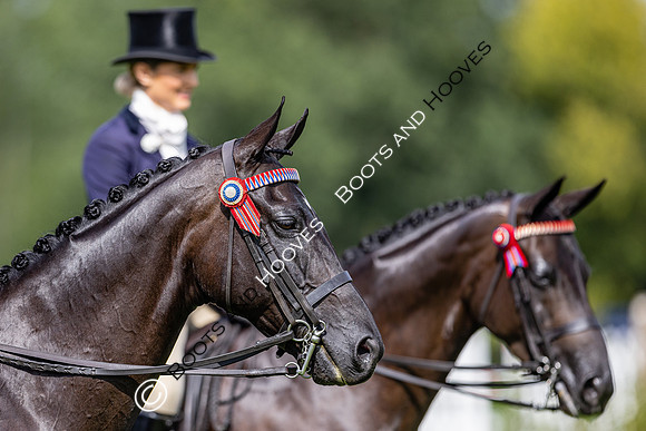 The Agria Royal International Horse Show