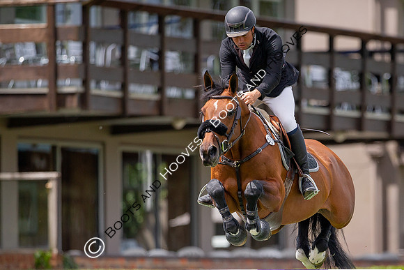 Showjumping