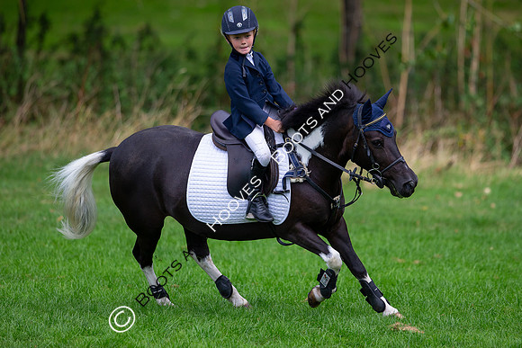 Science Supplements All England Jumping Championships
