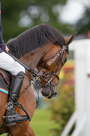 The Al Shira'aa Hickstead Derby Meeting