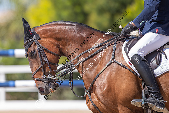 FEI Junior European Championship Young Riders, Juniors & Childre