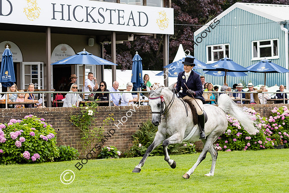 The Agria Royal International Horse Show