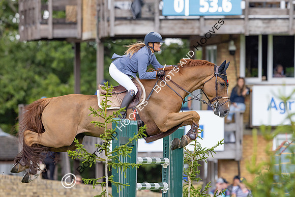 The Agria Royal International Horse Show
