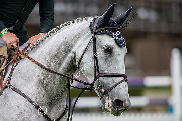 Showjumping