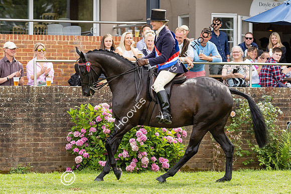 The Agria Royal International Horse Show