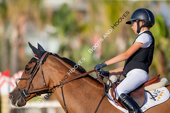 FEI Junior European Championship Young Riders, Juniors & Childre
