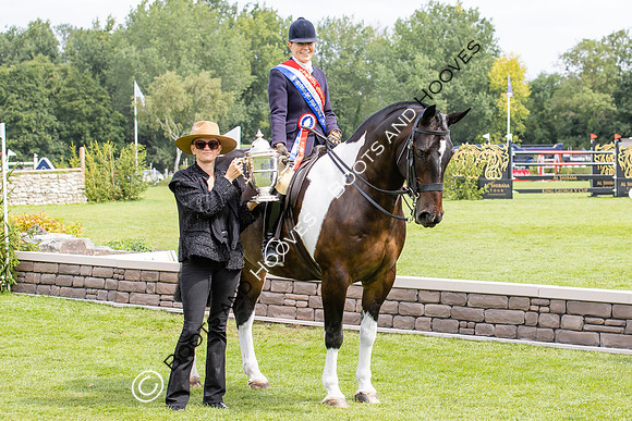 The Agria Royal International Horse Show