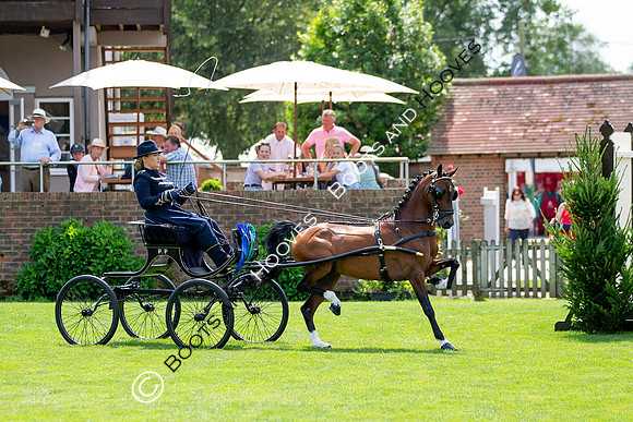 The Prenetics Royal International Horse Show