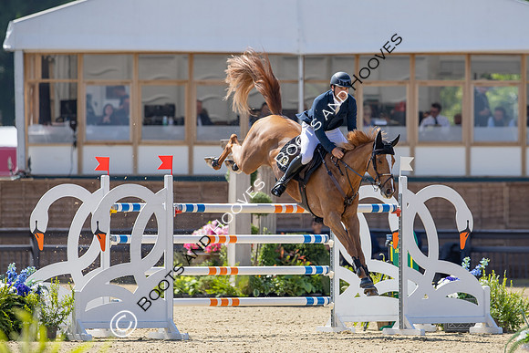 Royal Windsor Horse Show