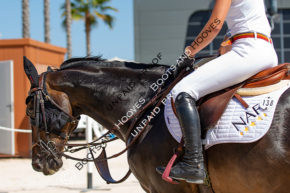 FEI Junior European Championship Young Riders, Juniors & Childre