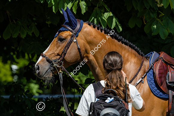 Royal Windsor Horse Show