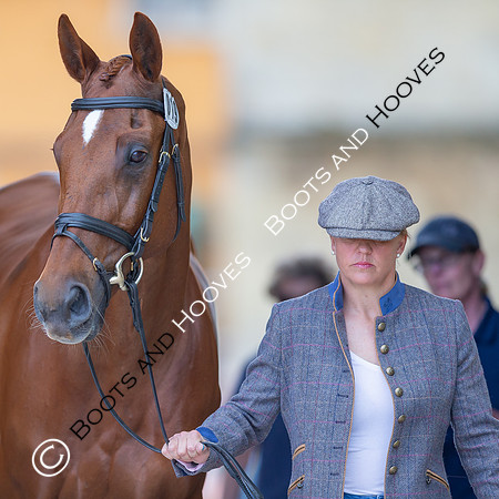 Badminton Horse Trials