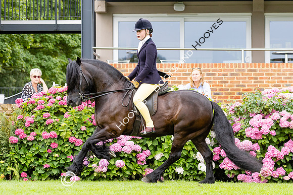 The Agria Royal International Horse Show