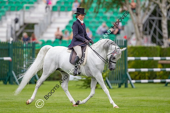 The AGRIA Royal International Horse Show