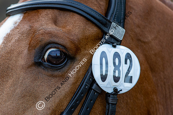Badminton Horse Trials