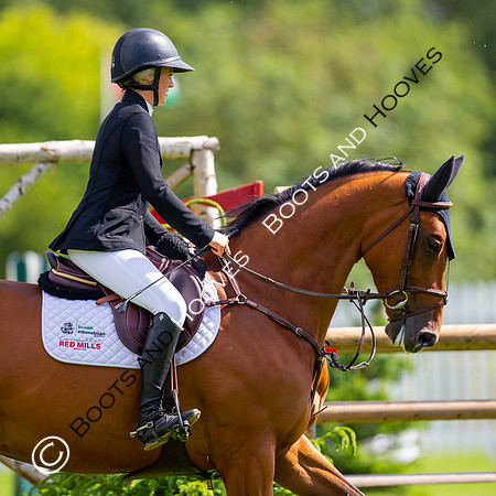 Showjumping