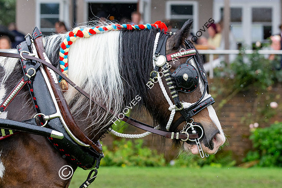 The Prenetics Royal International Horse Show