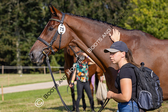 Blenheim Palace International Horse Trials
