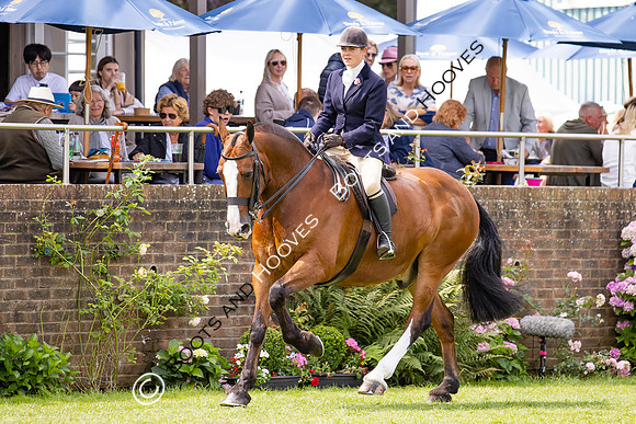 The Agria Royal International Horse Show