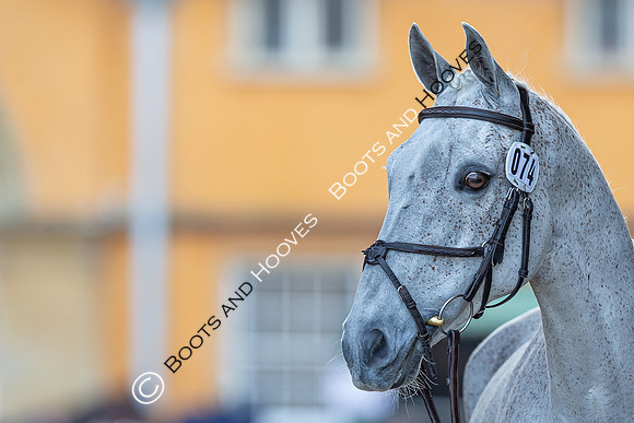 Badminton Horse Trials