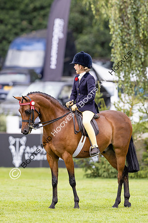The Agria Royal International Horse Show